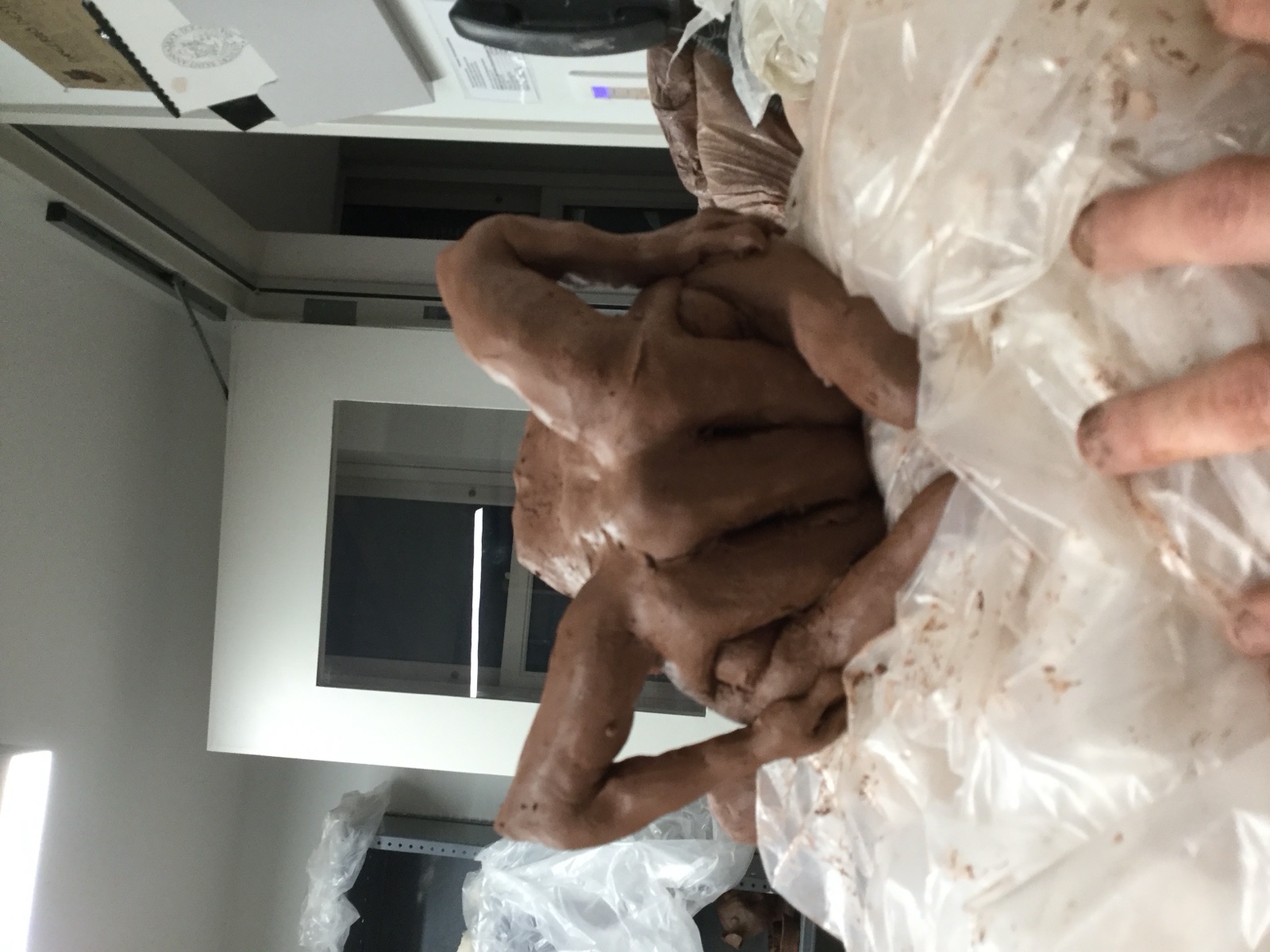 Hant sculpture, head