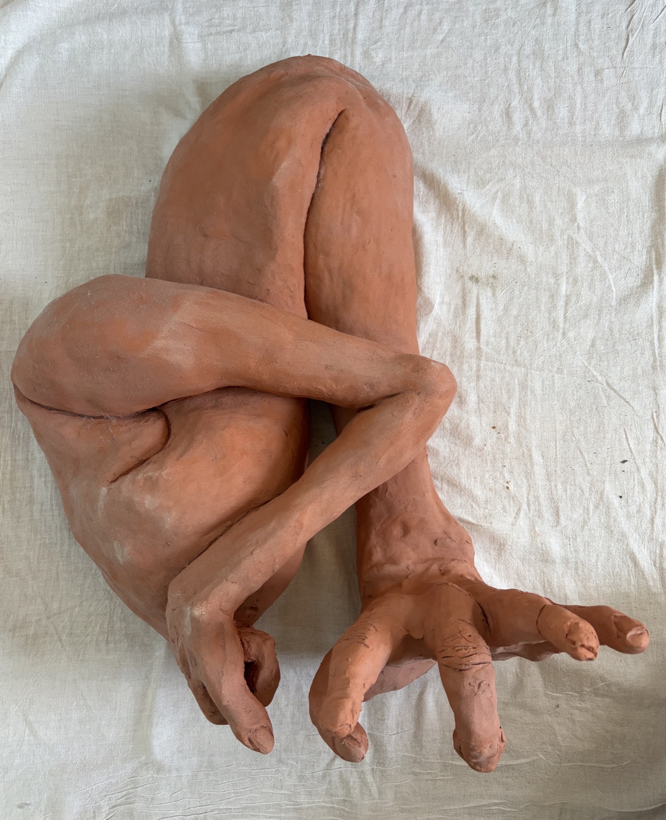 Snake sculpture, from above